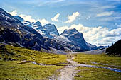 Parco Naturale Fanes-Senes-Braies. Escursione al Rifugio Fanes. Il piano prativo salendo verso il Passo Tadega. Alle nostre spalle ci lasciamo le Cime Fanis, Cima Scotoni  e Cima del Lago. 